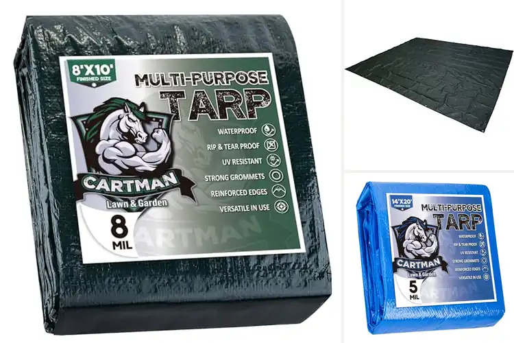 Detailed view of Best Large Camping Tarps: Top 10 Outdoor Picks